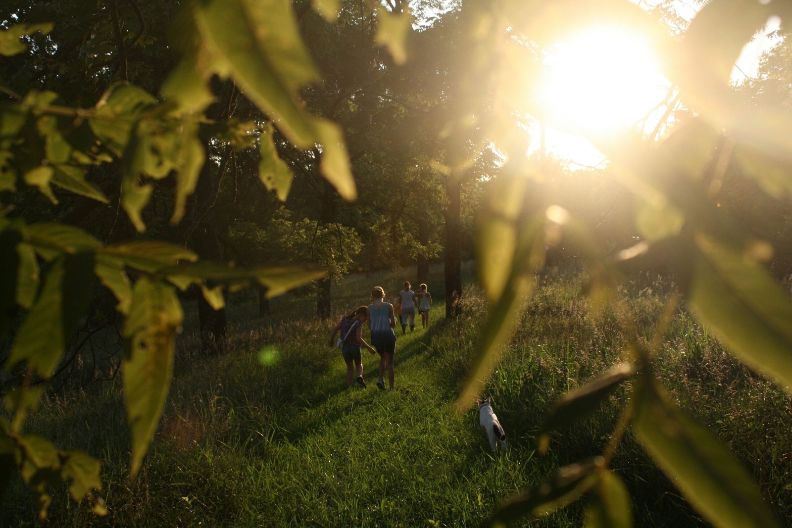 kayla-farmer-tvO-yFL9mhM-unsplash
