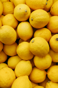 Lemon - Image 2